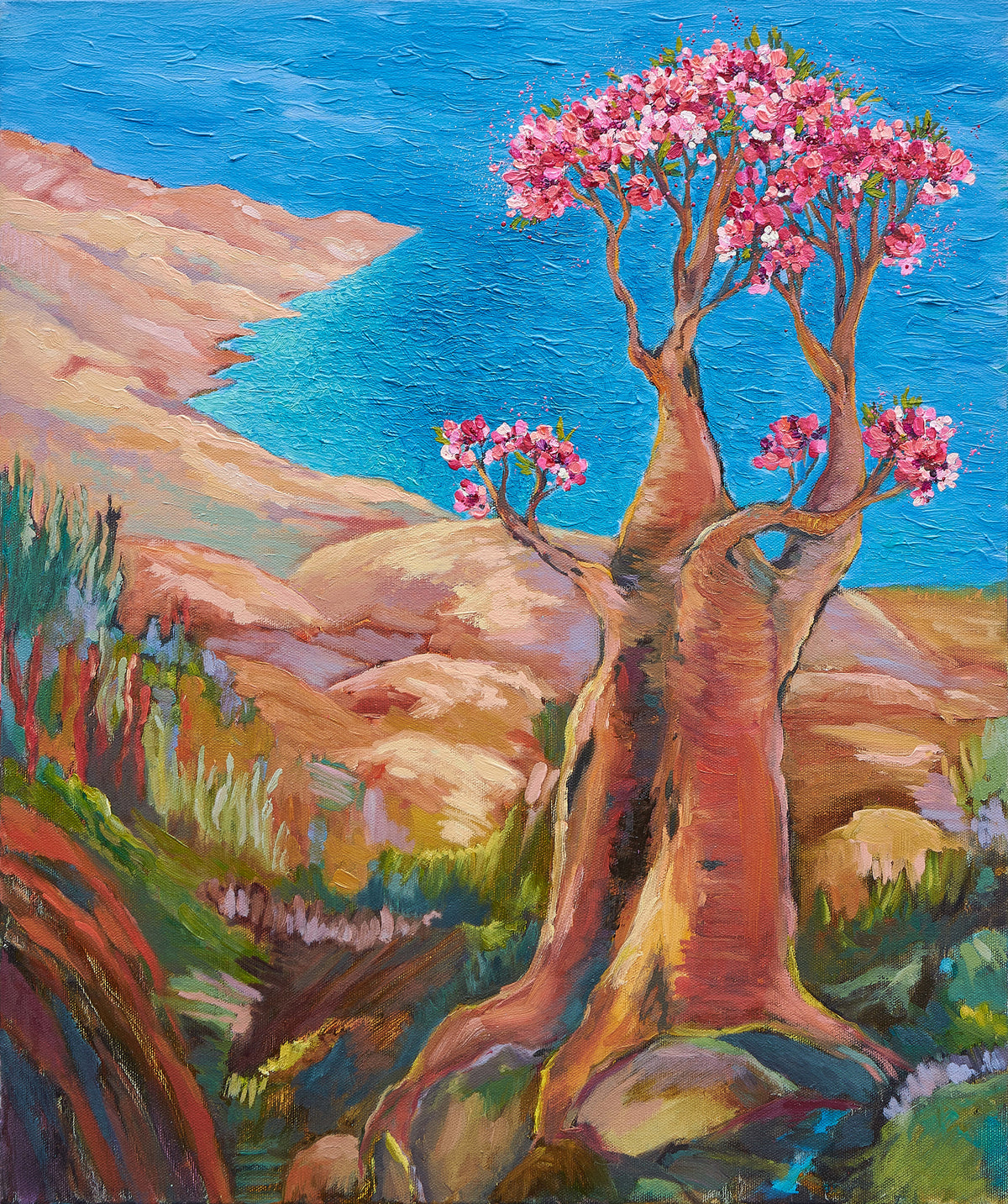 “Socotra dreams”